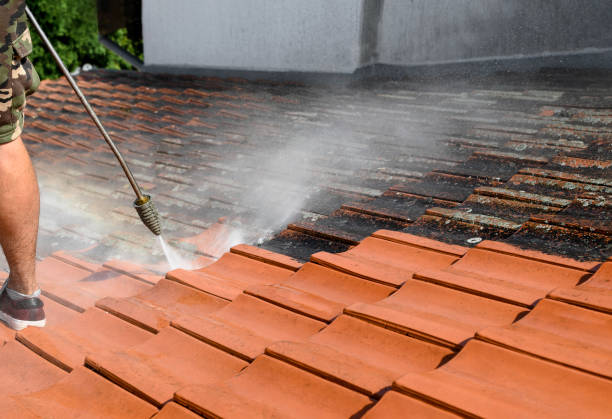 Best Local Pressure Washing Services  in Breezy Point, MN
